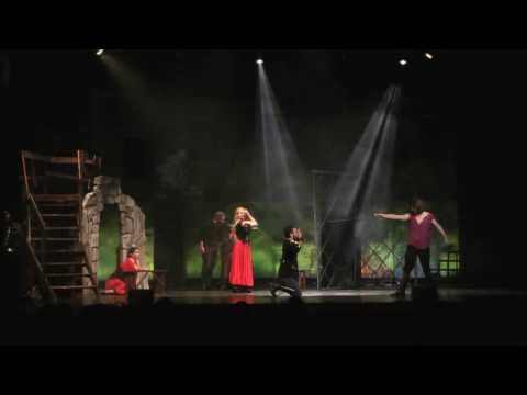 Z - The Musical of Zorro  -" Zorros Befreiung"