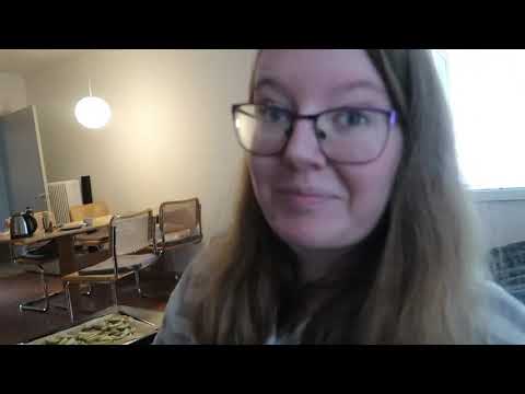 Hjemmelavede pomfritter og Jysk-haul