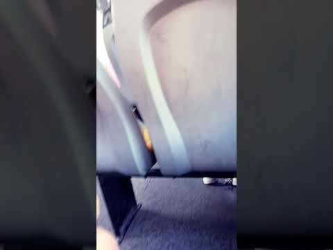 Nuovo bus mercedes Benz interno 1036 metropol línea 365