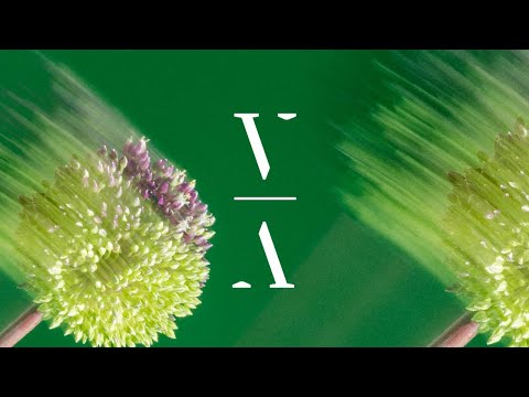 Huminal - Life's A Dive