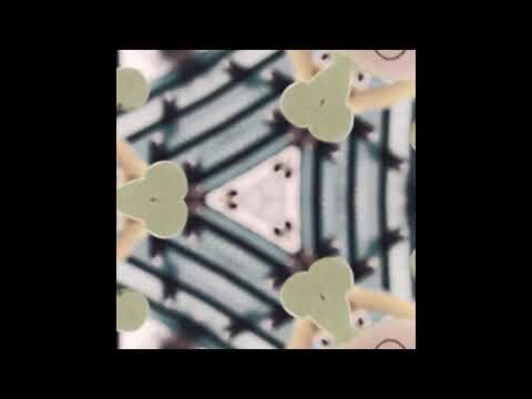 Sun Mutsis Mutsi - Citykettu