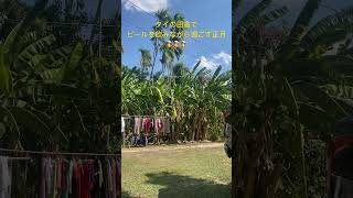 タイの田舎イサーンで正月を過ごす　#shorts #thailand #スローライフ #タイ #田舎暮らし