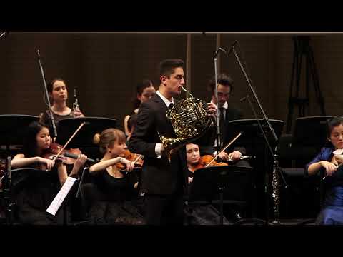 W.A.Mozart: Konzert für Horn und Orchester KV417 - PreCollege Orchestra Zürich