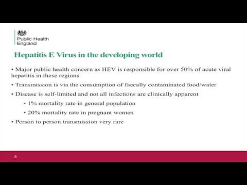 Hepatitis E: a UK and worldwide perspective