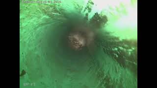 1510 NORWAY STREET NE SALEM