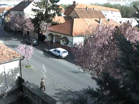 Tokaj Ido Kamera 2014.03.28