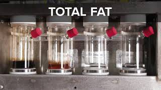 1908 Ankom Brand Video with vocals FINAL 4K