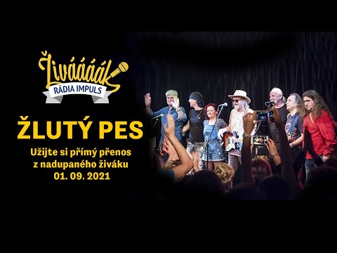 Letní Živáááák Rádia Impuls se Žlutým psem