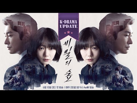 Прев'ю відео