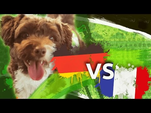 GERMANY vs FRANCE ⚽ // #FlixBall Oracle Chuck