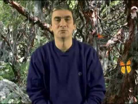 Carlos Seoane- Cuentos y Canciones