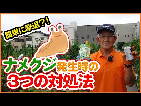 アンチスラグバリアハウスプラスチック金属銅の作り方