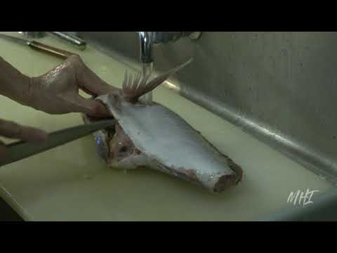 Filleting Madai (Sushi Preparation)