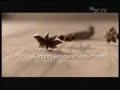 Iklan Djarum Coklat The Story Of Nature 2014