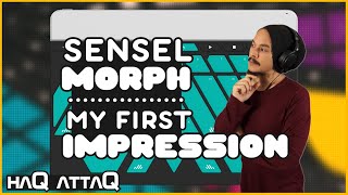 Video thumbnail for Sensel Morph | Gave myself 2 hours ... | haQ attaQ by Jakob Haq