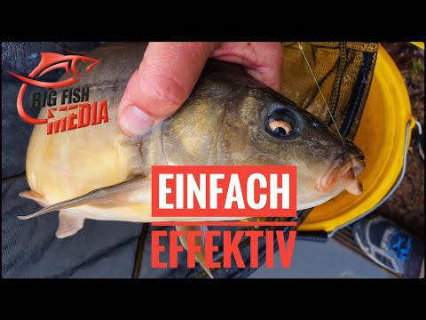 Einfach effektiv: Grundangeln mit Pellets - Gregor trifft den Profi