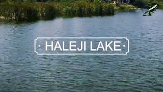 preview picture of video 'Haleji Lake in Thatta district of  Sindh'