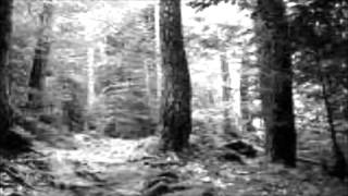 Alguien la vio partir (Diego Torres Cancion Oficial) +Letra En Comentarios