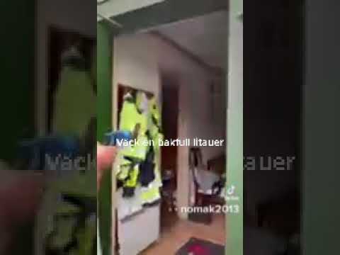 Hur man väcker en bakfull litauer