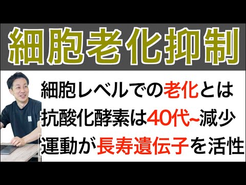 アンチエイジングにおける刺激的な進歩: 皮膚細胞が数十年も若返る