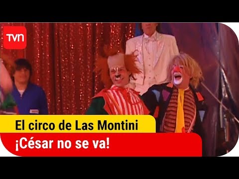 ¡César no se va! | El circo de Las Montini - T1E68