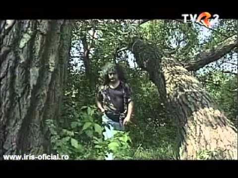 Istoria IRIS prima parte (anii '75 - '84)