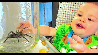 BABY LOVES GIANT SPIDER!!!