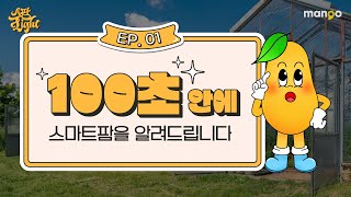 스마트팜 설명서의 엑기스만 쫙쫙 모아놓은 [스팜 Light] EP.01