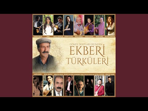 Video Yükleniyor...