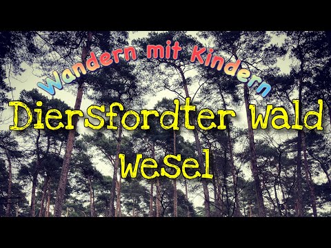 Ein Tag im Diersfordter Wald Wesel inkl Wildbeobachtung