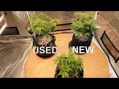 New Seeds Planted, AK-47 Update And New Motorized Rotating Grow Platform Set Up! #FC4800 #MarsHydro