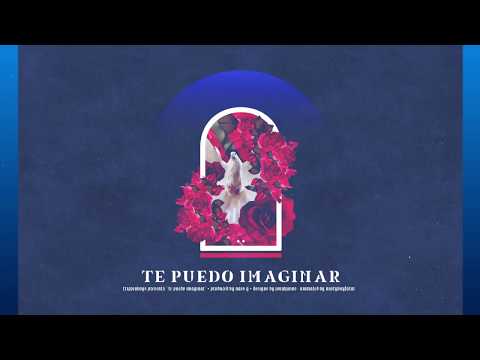 Te Puedo Imaginar - Trippinboys (Prod. Nass G)