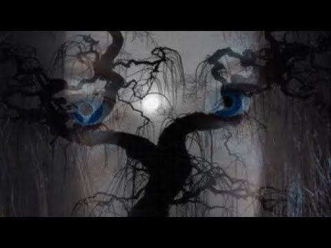 The Supernatural - Official trailer