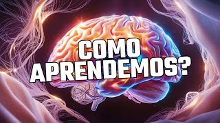 Educação e Conexão - Ep. 02 - Como o seu cérebro aprende?