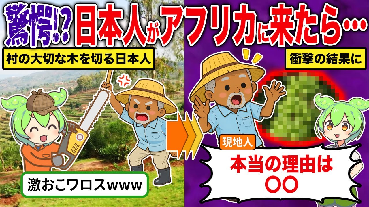 驚愕！？日本人がアフリカの木を切り倒したら・・・【ずんだもん＆ゆっくり解説】