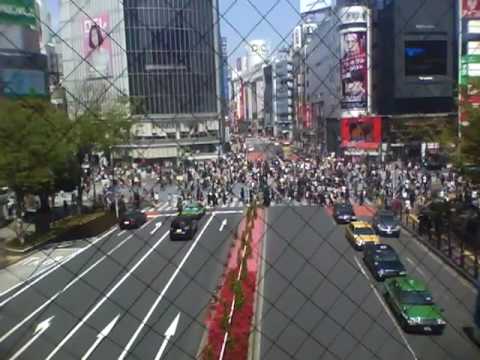 Shibuya Crossing. April 11th, 2010