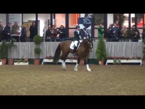 LASSARO v. Lissaro x Monsieur AA - Hit