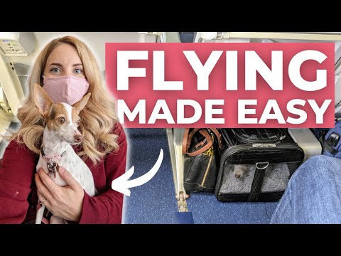 Flying with Pets: Tips for a Smooth Cabin Experience on WestJet