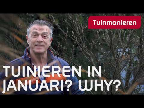 Tuinieren in januari. Wat valt er te doen in je tuin? | Tuinmanieren