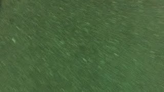 博多駅からかえるで！