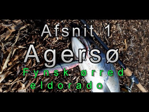 Agersø, Fynsk ørred eldorado 2019 afsnit 1
