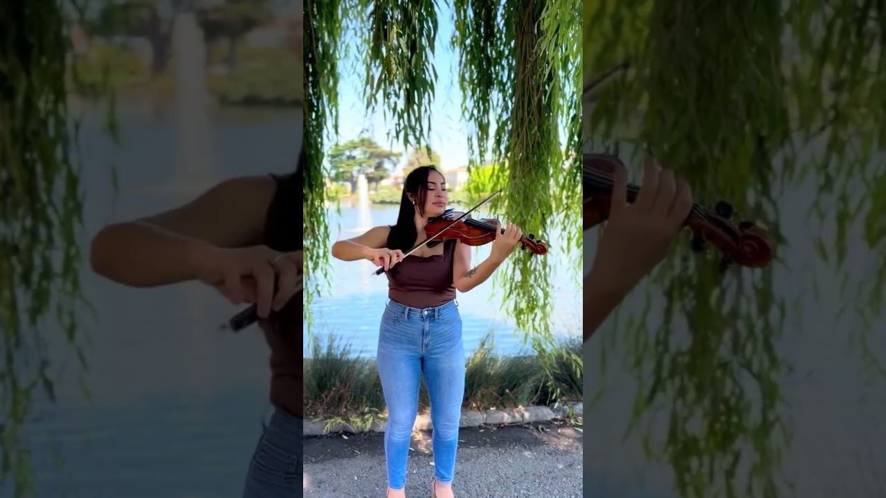 Promotional video thumbnail 2 for Lupe Music