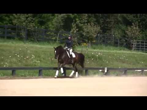 Rubina HVH: 2014-09-19: Schooling 1st & 2nd