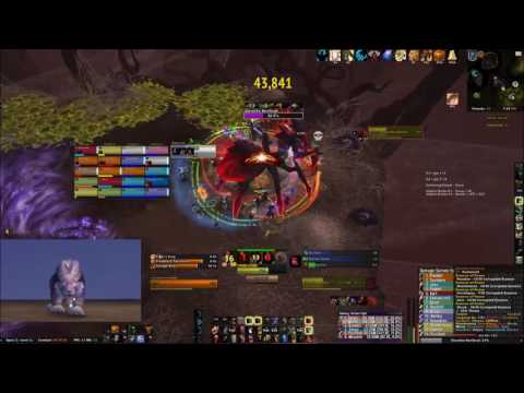 Solution Emerald Nightmare - Mythic Elerethe Renferal - Feral Druid