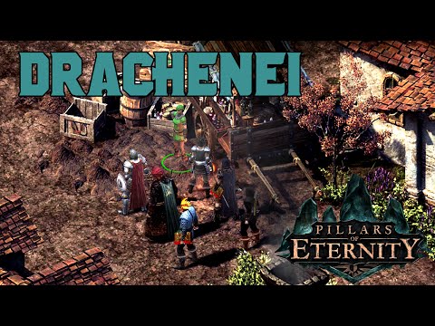 Let's Play Pillars of Eternity - Nyfre & Medreth - Teil 85