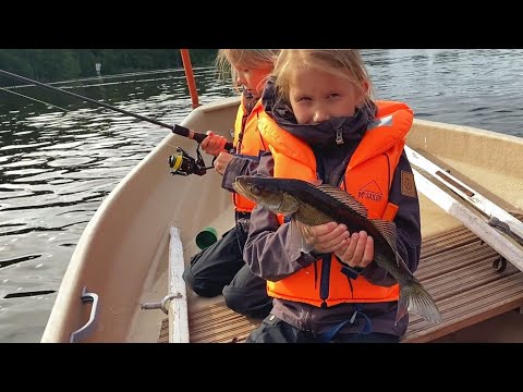 Siskokset yllätettiin kesken kauppareissun - Ikimuistoinen Kalakingi-päivä - Kuhankalastus