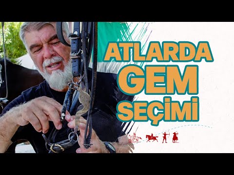 , title : 'Atlarda Gem Seçimi Nasıl Yapılır ? | Ertan Erkekoğlu'