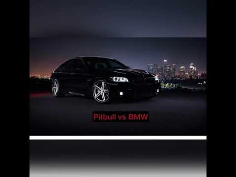 Cvetocek7 - Девочка Сказка ( Remix 2021 )