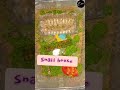 #shorts How to make Snail House Terrarium DIY #easy #diy #making #athome #terrarium #pethouse #snail