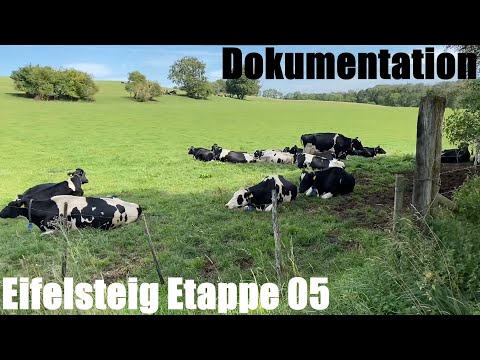 Eifelsteig Etappe 05 - Länge: 17,5 km Route: Gemünd bis Kloster Steinfeld - Wander Dokumentation